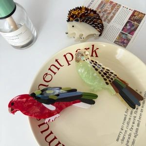 Set di tre mollette per capelli in acetato con design colorati di pappagalli e riccio