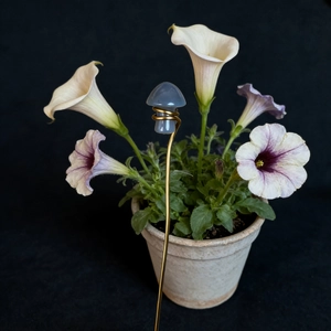 Detail of blue crystal mushroom plant stake with gold copper wire in a flower pot