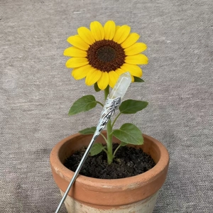 Detail view of a bohemian silver hair pin with a hexagonal white crystal point on a sunflower