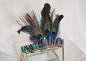 Detailed macro view of electroplated rainbow crystals and natural peacock feathers on a crown