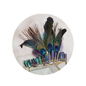Handmade bohemian crown with rainbow crystal quartz and natural peacock feathers on gold frame