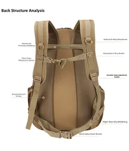 Tactical backpack back view with breathable honeycomb mesh and D-ring attachments