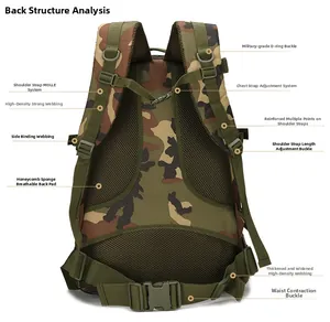 Tactical backpack back view featuring breathable mesh padding and MOLLE system straps