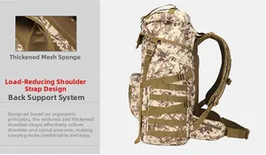 Detail of ergonomic breathable mesh padding and MOLLE webbing on tactical backpack