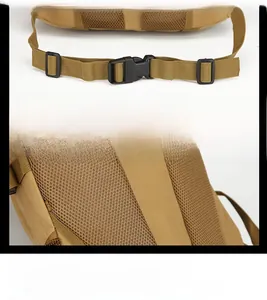 Détails de la ceinture ajustable et du rembourrage dorsal en mesh respirant du sac à dos