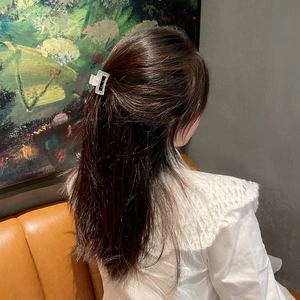 Pince à cheveux carrée givrée minimaliste pour coiffures élégantes demi-relevées