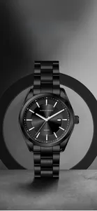 Close-up of black stainless steel watch with sunray dial and date window detail