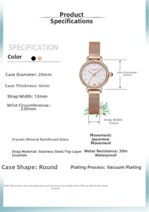 Détails de montre or rose 26mm avec bracelet en maille et cadran en nacre élégant