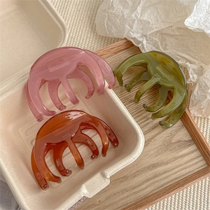 Elegant translucent resin jelly shark hair clips in assorted colors for women hair styling