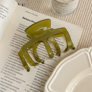 Détail de la pince à cheveux vert olive avec gravure France Handmade sur un livre