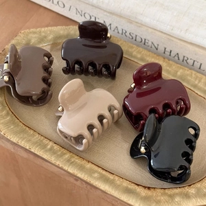 Haarklammer Mit Goldetikett Im Koreanischen Stil Für Damen Hochwertige Kleine Haarklammer Elegante PC Kopfschmuck Accessoires