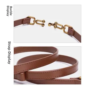 Close-up of brown leather skinny belt with vintage gold metal horsebit buckle and stitching