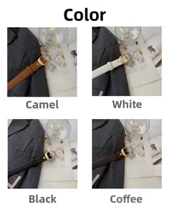 Detailansicht schmaler Ledergürtel in Camel, Weiß, Schwarz und Braun mit goldener Schnalle