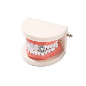 Grillz dentaire en forme de cœur argenté avec zircons blancs sur modèle dentaire
