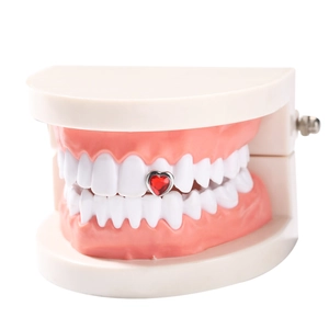 Macro view of red heart-shaped tooth gem with silver rim on a white tooth model