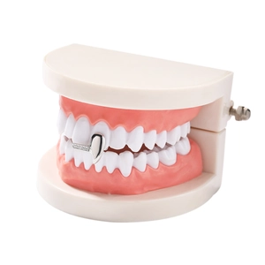 Silver hip hop single tooth grillz with micro-pave rhinestones on a dental model