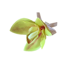 Elegant magnolia flower hair clip with light yellow petals and pink striped ribbon accent