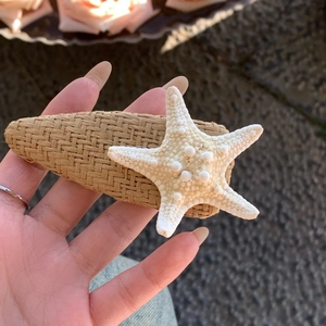 Barrette En Paille Tressée Étoile De Mer Style Vacances Bord De Mer Frais Épingle À Cheveux En Résine Pour Femme