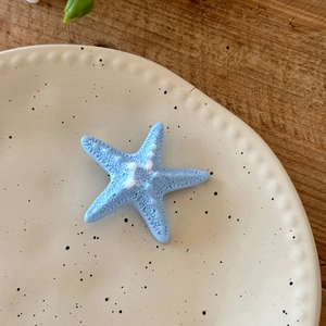 Détail de la pince à cheveux étoile de mer bleue texturée sur une assiette en céramique