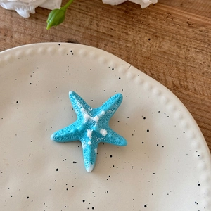 Vue détaillée d'une pince à cheveux étoile de mer bleue sur un plat en céramique décoré