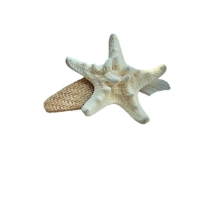 Barrette étoile de mer en paille style coréen pour vacances à la plage accessoire