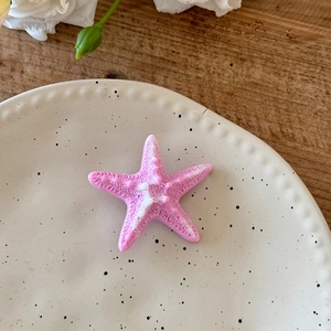 Détail macro d'une pince étoile de mer 3D rose sur une assiette pour vacances à la mer