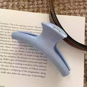 Gros plan d'une pince à cheveux mate bleu clair posée sur un livre pour les détails de style