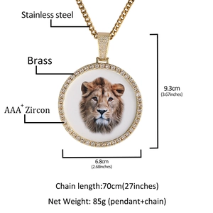 Grote ronde gouden hiphop hanger met leeuwenprint en AAA+ zirkonia-halsketting