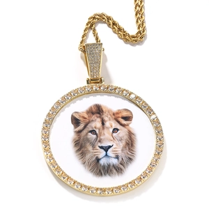 Detail van hiphop leeuwenhanger met kristallen frame en gedraaide touwketting
