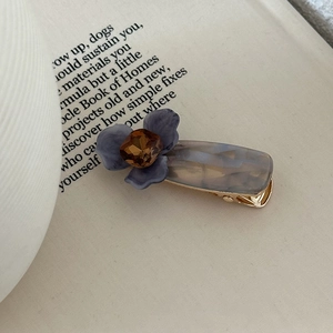 Dettaglio macro della molletta per capelli a iris con gemma ambra su libro d'epoca