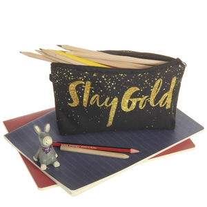 Flat lay of a black canvas pencil case with gold Stay Gold print on notebooks