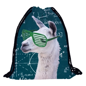Alpaca drawstring backpack with physics formula print for travel and sports