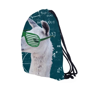 Detail of teal drawstring backpack with alpaca print and white physics formula designs