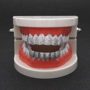 Detailed macro view of hip hop silver grillz set with full micro-pave white zircon stones