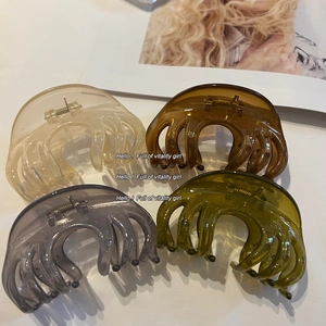 Lot de grandes pinces à cheveux en acrylique ambre, vert olive, crème et violet gris