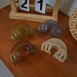 Pinces à cheveux semi-transparentes en vert olive, violet, ambre et crème élégantes