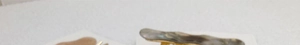Detailed close-up of a golden alloy duckbill hair clip with irregular wavy texture design