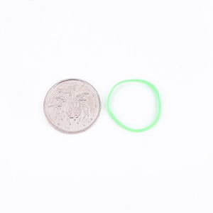 Groene hoog-elastische haarelastiek met munt ter referentie voor 25 mm diameter