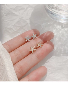Vue détaillée de clous d'oreilles en argent S925 en forme d'étoile avec zircons brillants