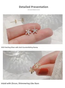 Détail macro de boucles d'oreilles étoile en argent 925 avec zircons scintillants