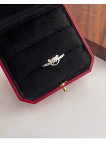 Vue détaillée d'une bague tête de tigre en argent ajouré placée dans une boîte à bijoux rouge