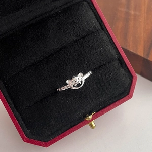 Bague tête de tigre évidée en argent présentée dans son écrin à bijoux rouge