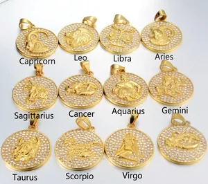Pendentifs 12 signes du Zodiaque en acier titane hip hop avec oxydes de zirconium