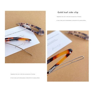 Detail of tortoiseshell resin hair clips and gold metal hairpin in French vintage style