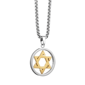 Collier Pendentif Hexagramme Étoile de David en Acier Titane Hiphop Bicolore Or Argent Collier Anneau Rond Géométrique Homme Femme