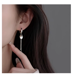 Close-up of elegant S925 sterling silver drop earrings with round discs and long tassels