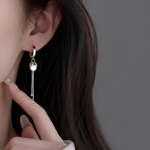 Elegant S925 sterling silver tassel drop earrings with round discs on a model