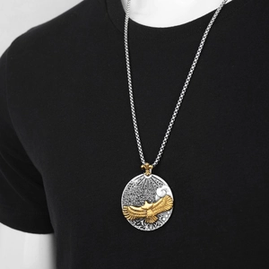 Collier hip-hop en acier titane avec disque en relief argenté et pendentif aigle doré