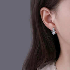 Silver S925 cubic zirconia stud earring with LUCKY engraving shown on a male model