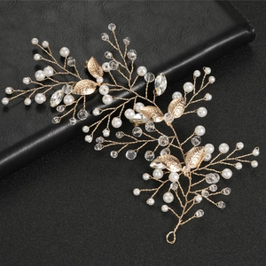 Détail macro d'une vigne à cheveux feuilles argentées avec cristaux et perles sur noir